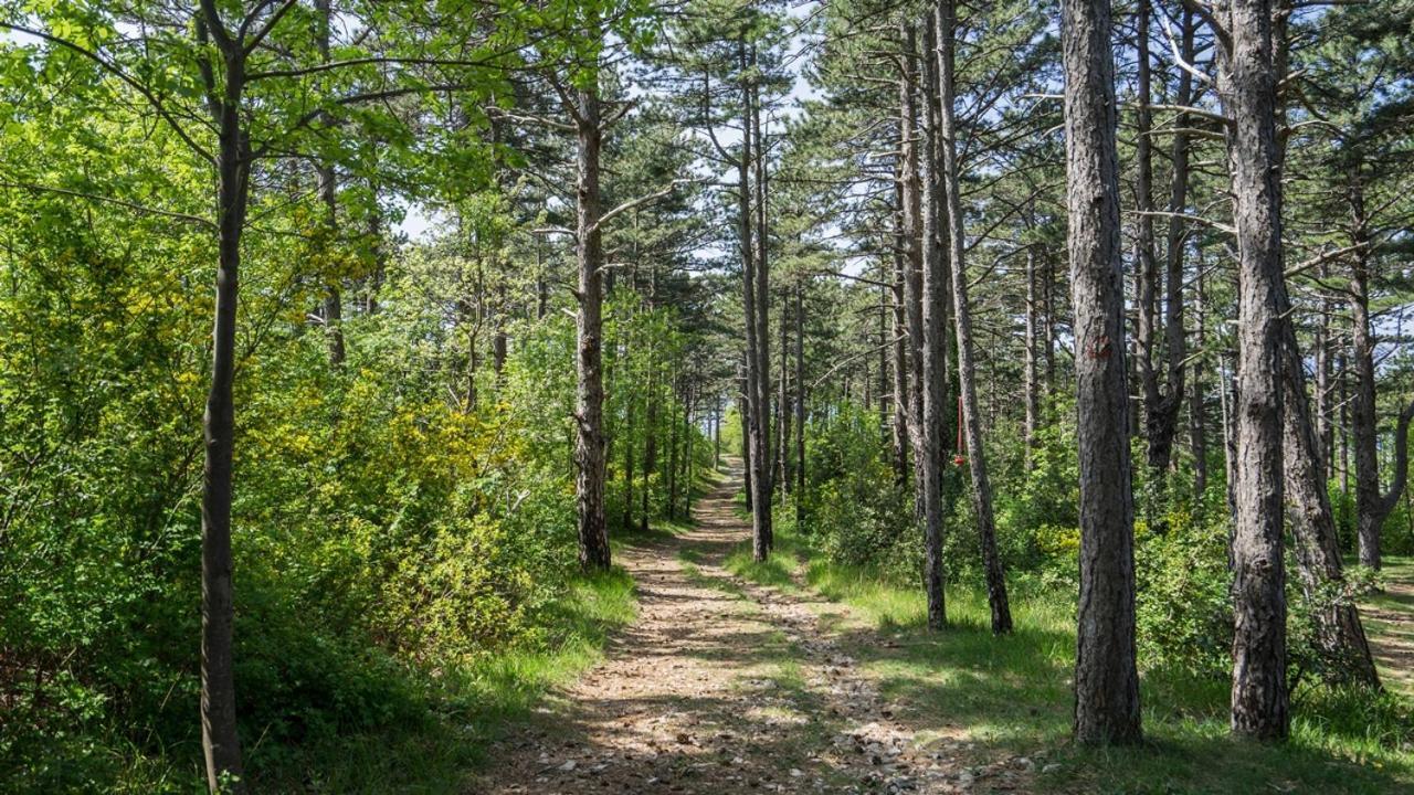 Kostrena - Sidro Lägenhet Exteriör bild